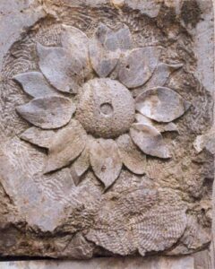 Steinerne Blume Erik von Brandt